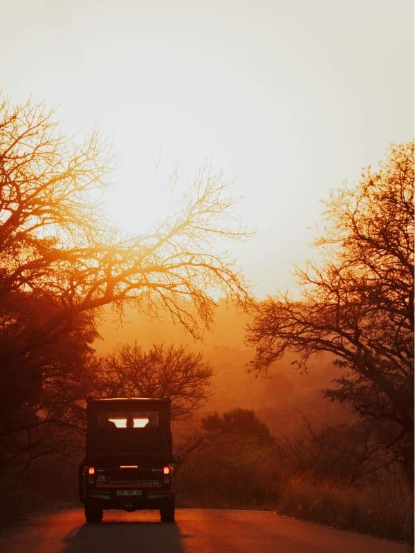 Road trip through Southern Africa